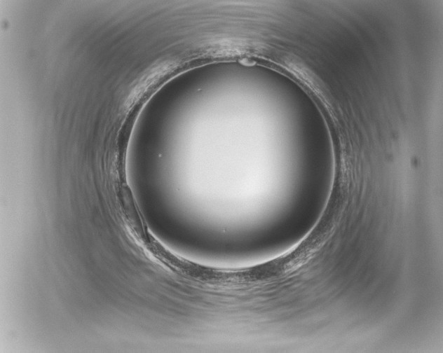 X0000056000485200508191327