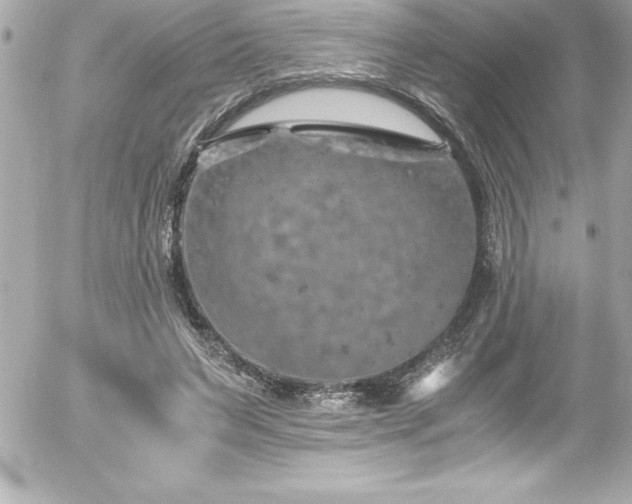 X0000056000495200508191327