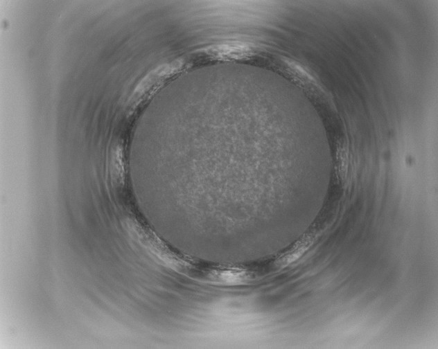 X0000056000506200508191327