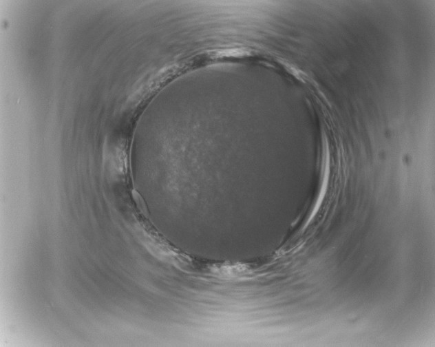 X0000056000517200508191327