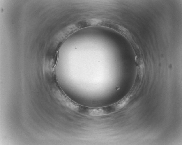 X0000056000525200508191327