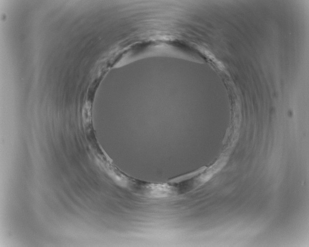 X0000056000528200508191327