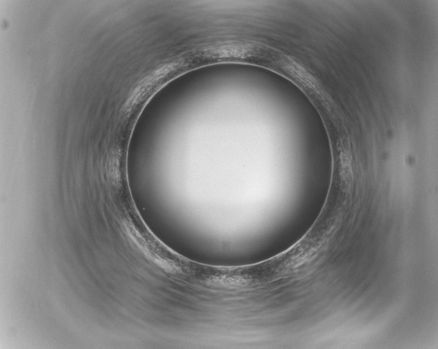 X0000056000537200508191326
