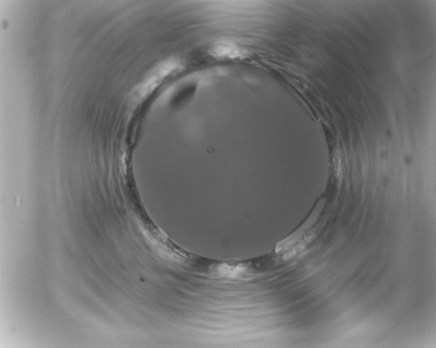 X0000056000570200508191327