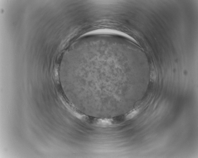 X0000056000573200508191327