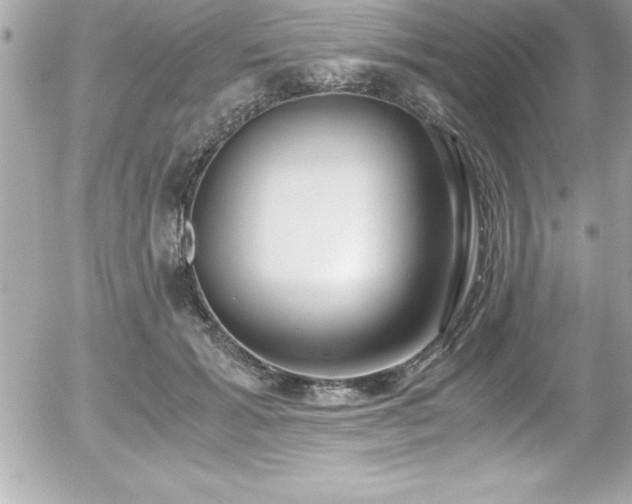 X0000056000605200508191325