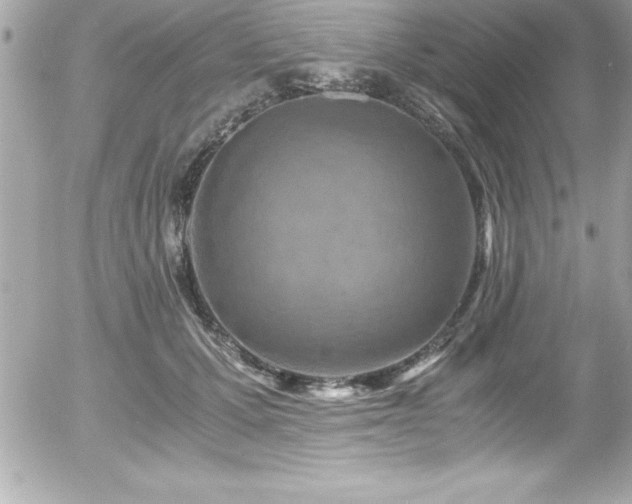 X0000056000607200508191325