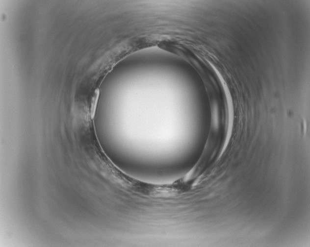 X0000056000617200508191325