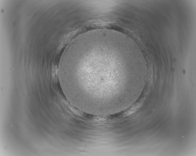 X0000056000624200508191325