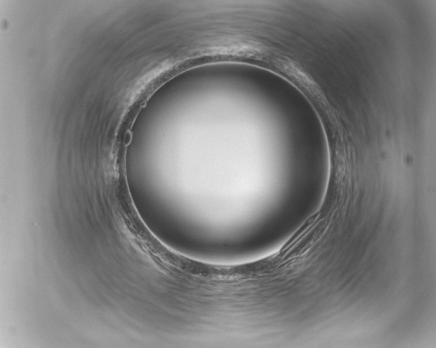 X0000056000628200508191324