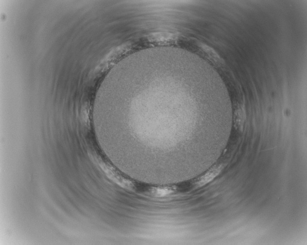 X0000056000662200508191325