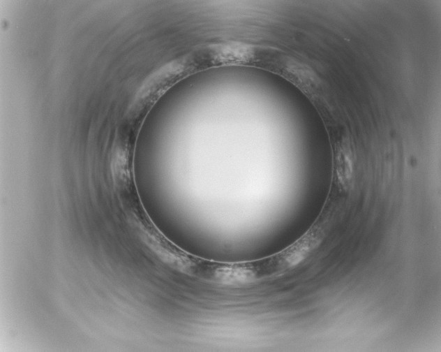 X0000056000714200508191324