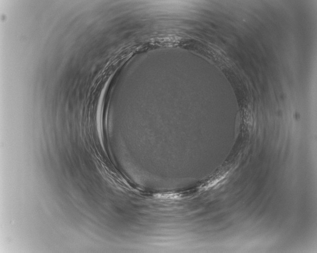 X0000056000818200508191321