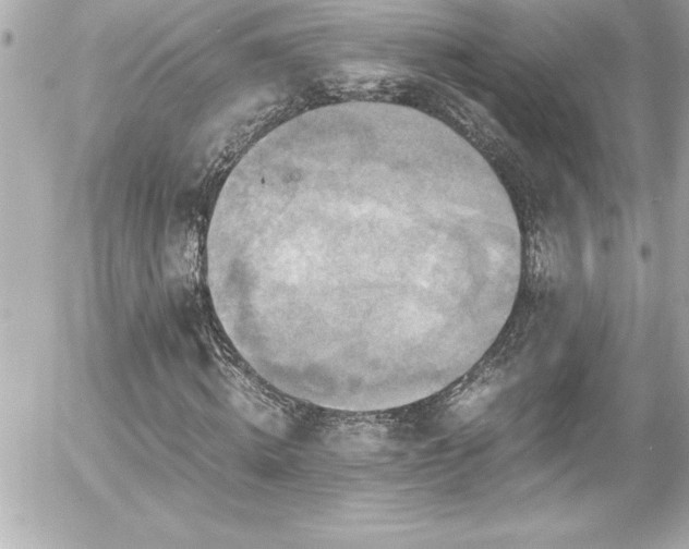 X0000056000820200508191321