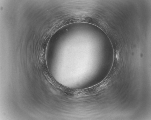 X0000056000867200508191321