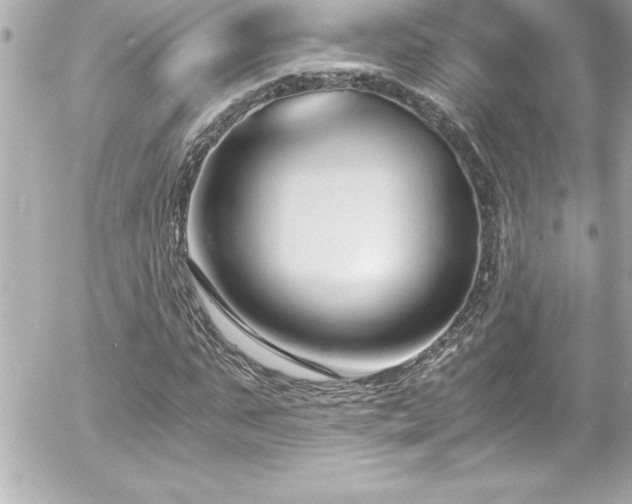 X0000056000871200508191321