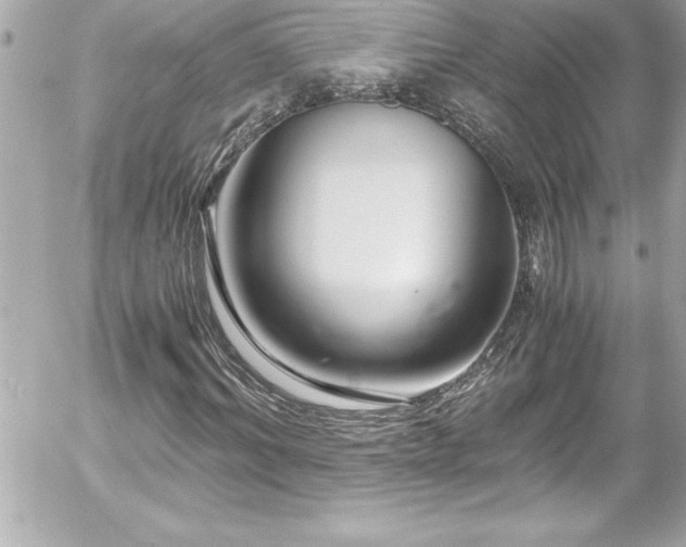 X0000056000964200508191320
