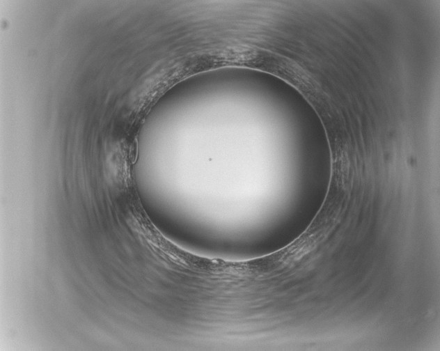 X0000056001058200508191318