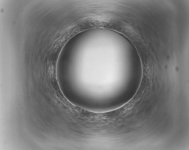 X0000056001061200508191318