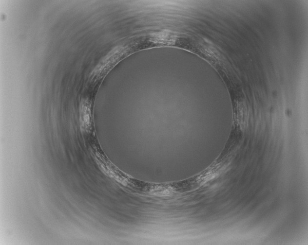 X0000056001154200508191316