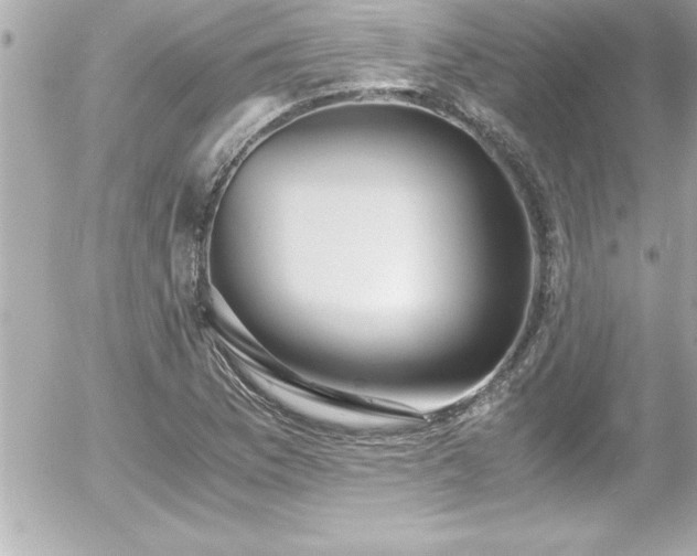 X0000056001169200508191316