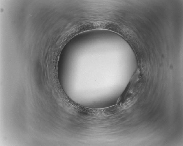 X0000056001249200508191315