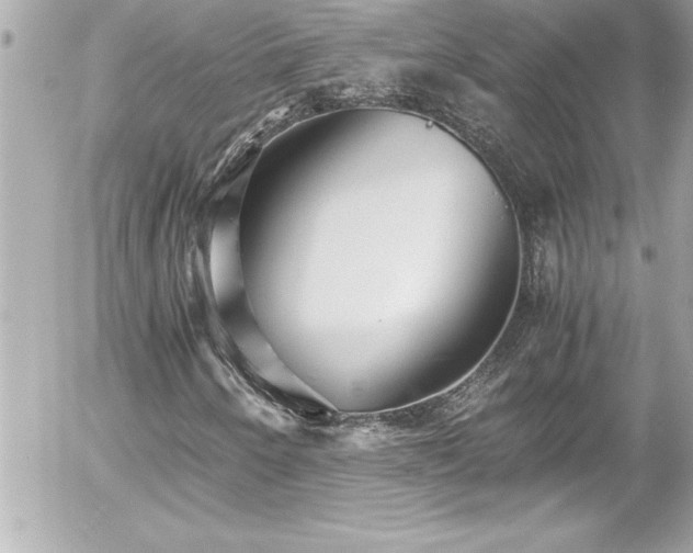 X0000056001250200508191315