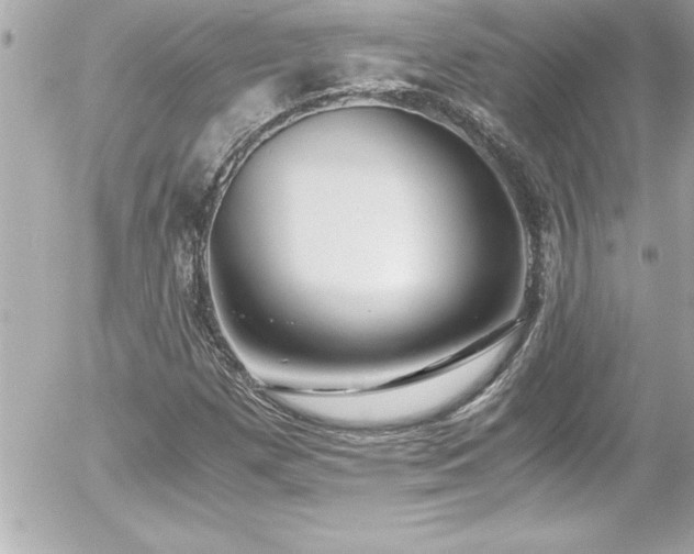 X0000056001257200508191315