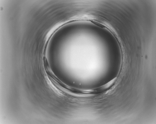 X0000056001344200508191314
