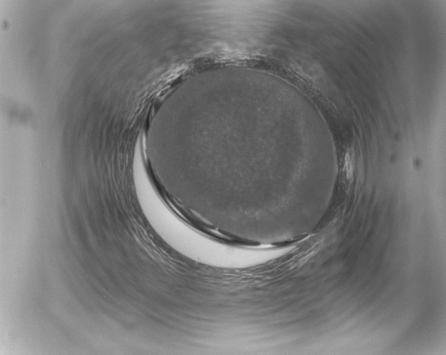 X0000056001348200508191313