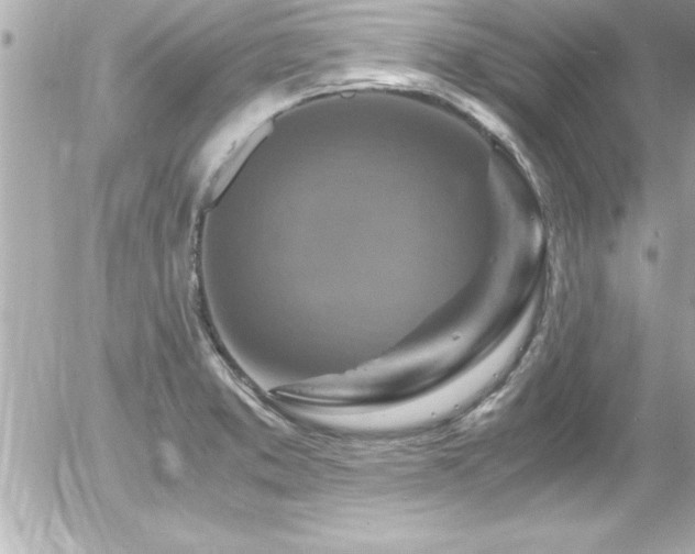 X0000056001373200508191313