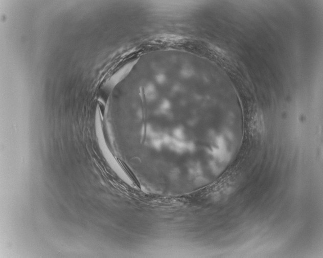X0000056001397200508191312