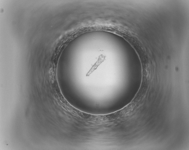 X0000056001493200508191310