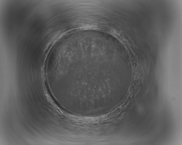 X0000056000002200508221335