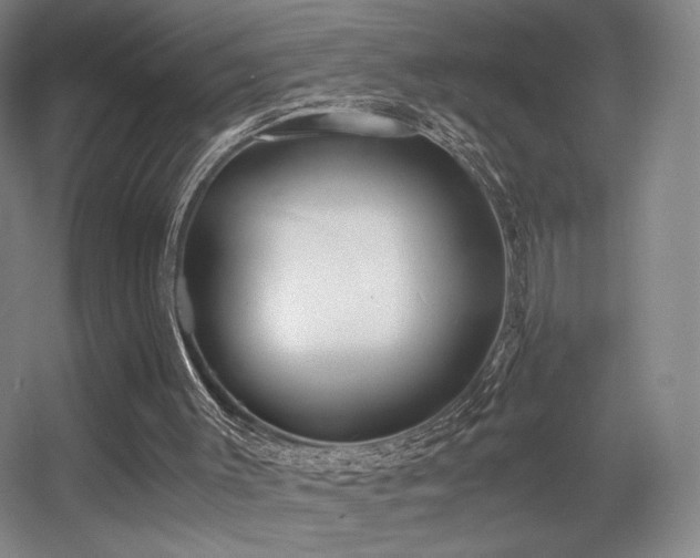 X0000056000003200508221335