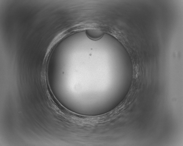 X0000056000004200508221335