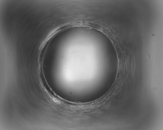 X0000056000005200508221335