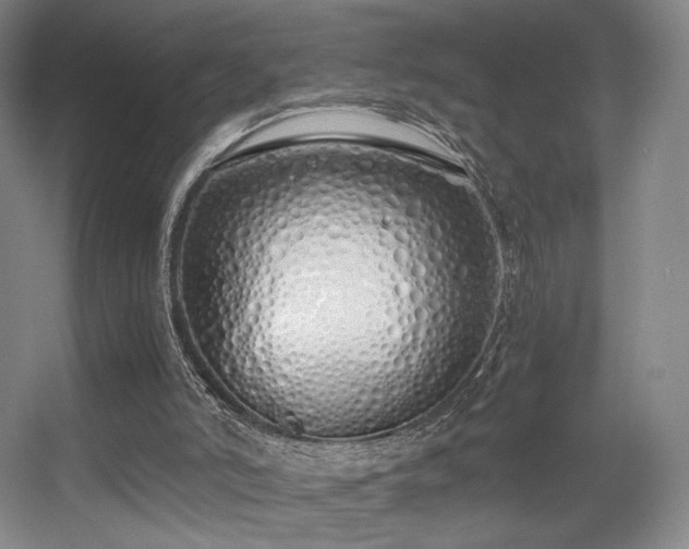 X0000056000006200508221335