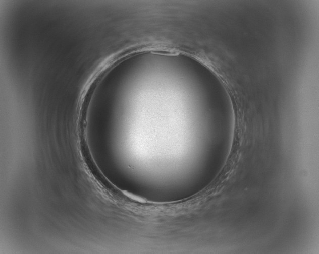 X0000056000007200508221335