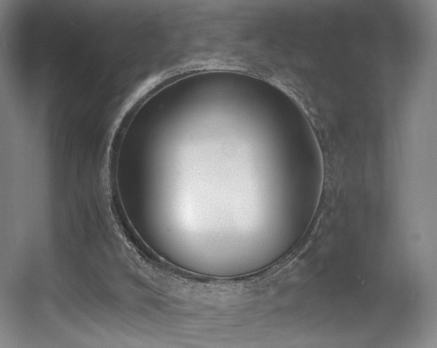 X0000056000008200508221335