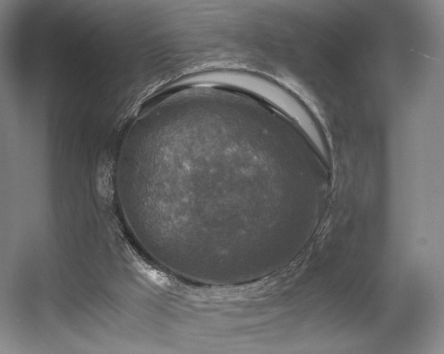 X0000056000009200508221335