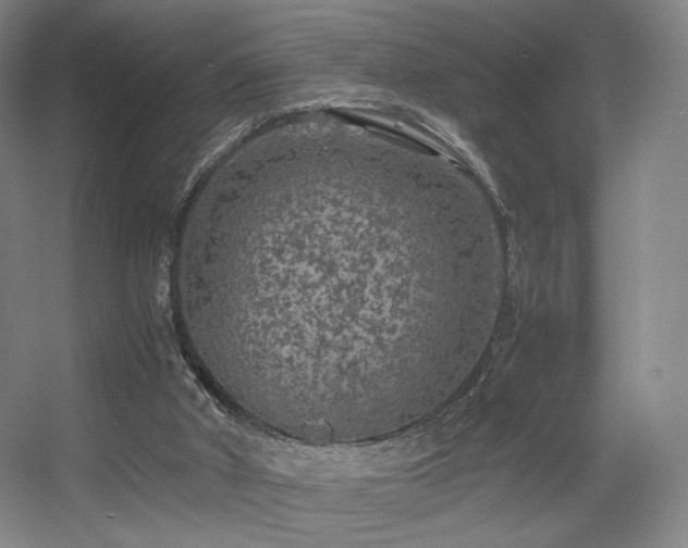 X0000056000010200508221335