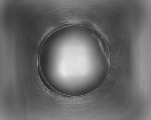 X0000056000011200508221335