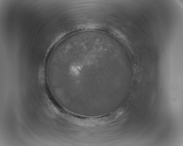 X0000056000012200508221335