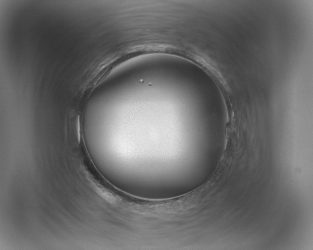 X0000056000013200508221335