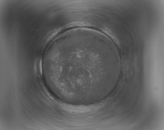 X0000056000014200508221335