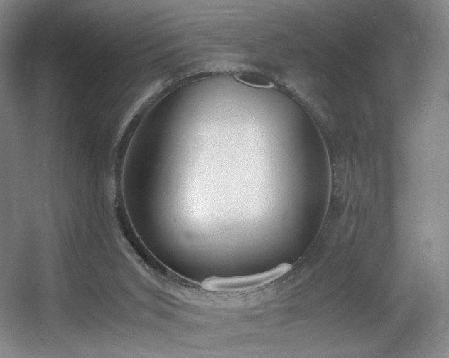 X0000056000015200508221335