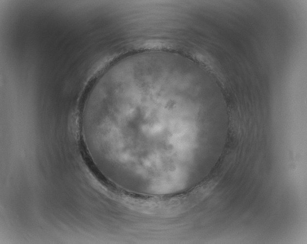 X0000056000016200508221335