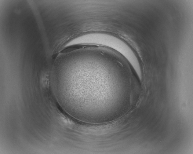 X0000056000017200508221335