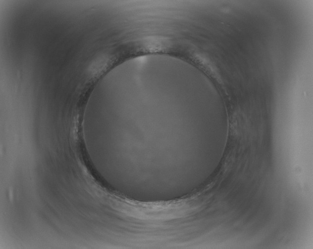 X0000056000018200508221335